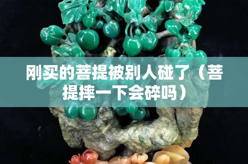 剛買的菩提被別人碰了（菩提摔一下會碎嗎）