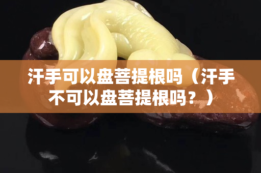 汗手可以盤菩提根嗎（汗手不可以盤菩提根嗎？）