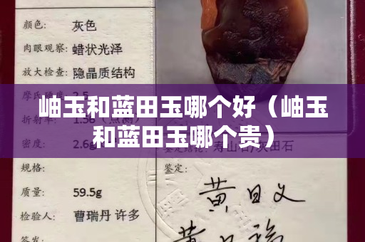 岫玉和藍田玉哪個好（岫玉和藍田玉哪個貴）