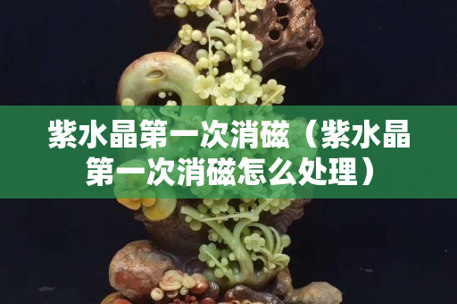 紫水晶第一次消磁（紫水晶第一次消磁怎么處理）