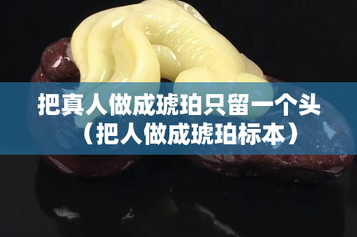 把真人做成琥珀只留一個(gè)頭（把人做成琥珀標(biāo)本）
