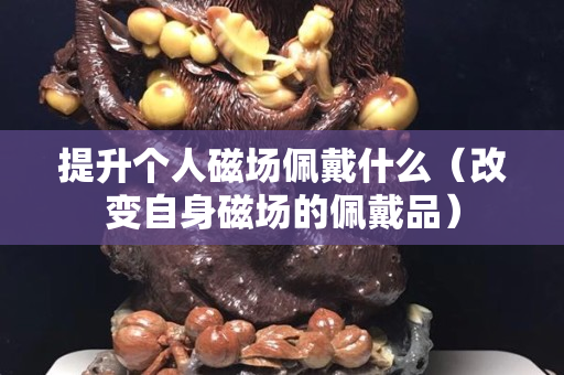 提升個人磁場佩戴什么（改變自身磁場的佩戴品）