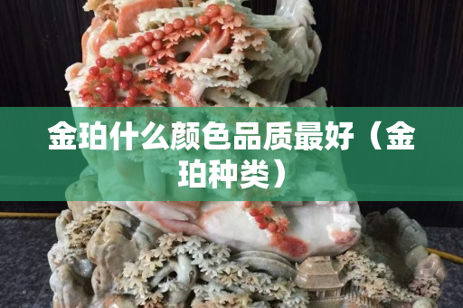 金珀什么顏色品質最好（金珀種類）