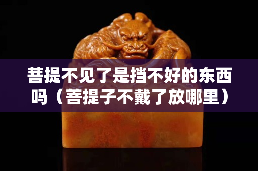 菩提不見了是擋不好的東西嗎（菩提子不戴了放哪里）