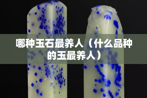 哪種玉石最養人（什么品種的玉最養人）