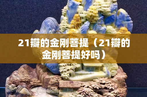 21瓣的金剛菩提（21瓣的金剛菩提好嗎）