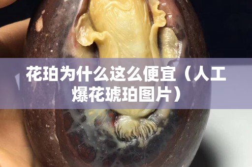 花珀為什么這么便宜（人工爆花琥珀圖片）