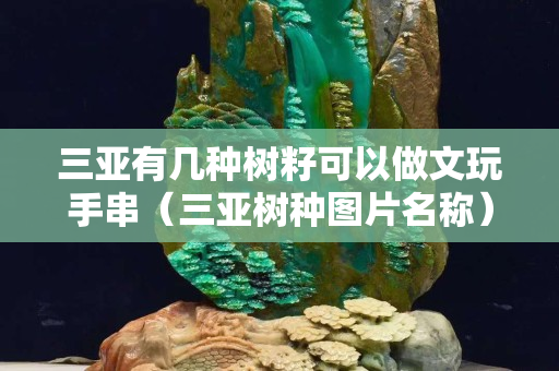 三亞有幾種樹籽可以做文玩手串（三亞樹種圖片名稱）