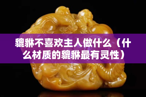 貔貅不喜歡主人做什么（什么材質的貔貅最有靈性）