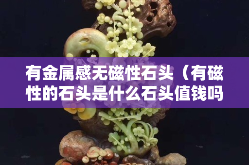 有金屬感無磁性石頭（有磁性的石頭是什么石頭值錢嗎）