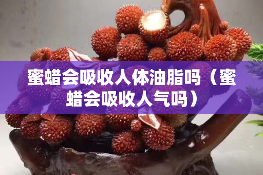 蜜蠟會吸收人體油脂嗎（蜜蠟會吸收人氣嗎）