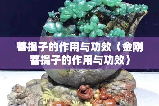 菩提子的作用與功效（金剛菩提子的作用與功效）