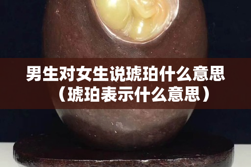男生對女生說琥珀什么意思（琥珀表示什么意思）