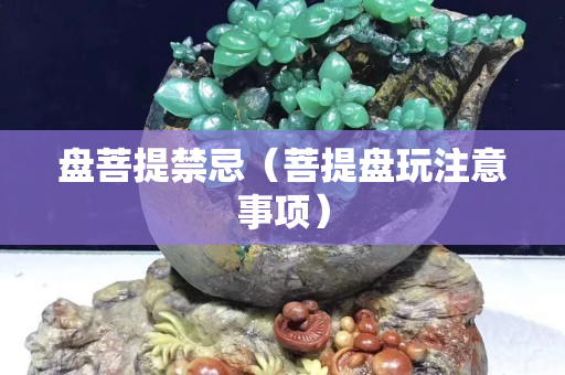 盤菩提禁忌（菩提盤玩注意事項）