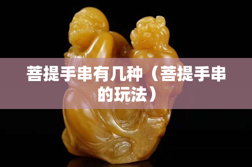 菩提手串有幾種（菩提手串的玩法）