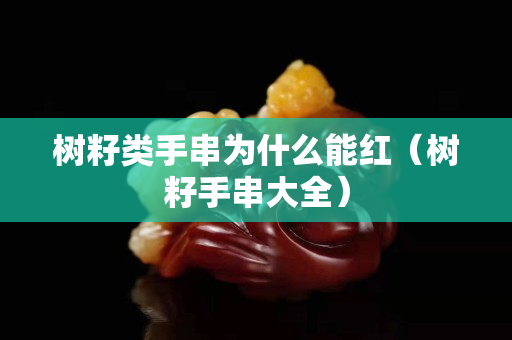 樹籽類手串為什么能紅（樹籽手串大全）