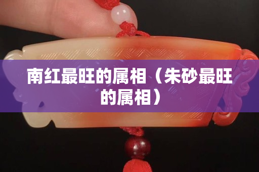 南紅最旺的屬相（朱砂最旺的屬相）