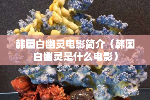 韓國白幽靈電影簡介（韓國白幽靈是什么電影）