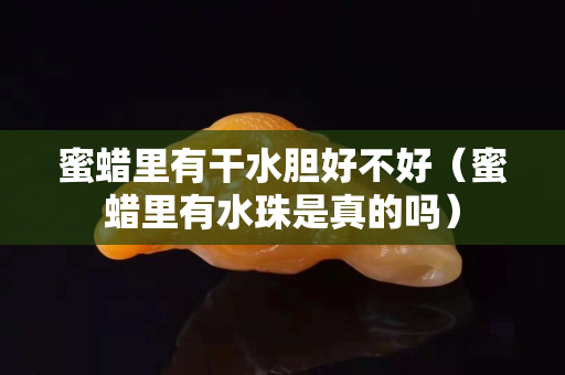 蜜蠟里有干水膽好不好（蜜蠟里有水珠是真的嗎）