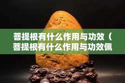 菩提根有什么作用與功效（菩提根有什么作用與功效佩戴禁忌）