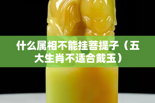 什么屬相不能掛菩提子（五大生肖不適合戴玉）