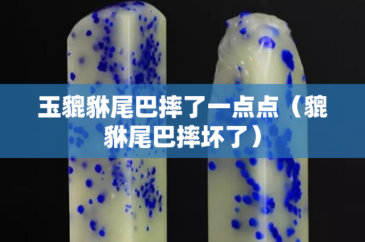 玉貔貅尾巴摔了一點點（貔貅尾巴摔壞了）