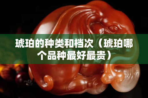琥珀的種類和檔次（琥珀哪個品種最好最貴）