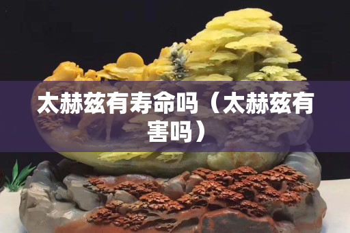 太赫茲有壽命嗎（太赫茲有害嗎）