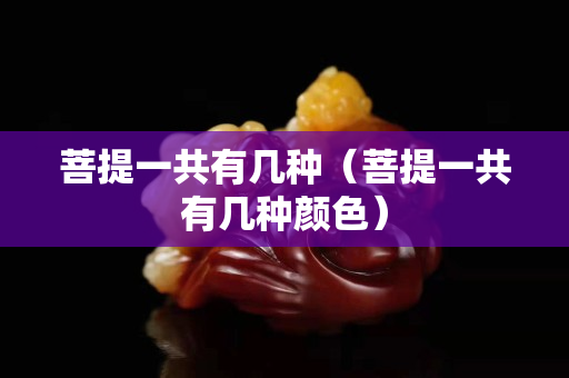 菩提一共有幾種（菩提一共有幾種顏色）