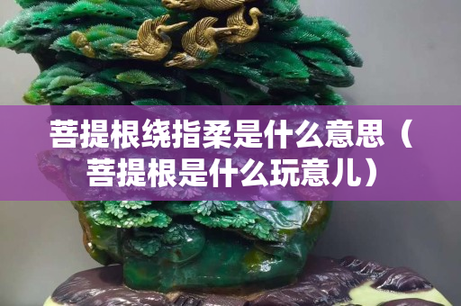 菩提根繞指柔是什么意思（菩提根是什么玩意兒）