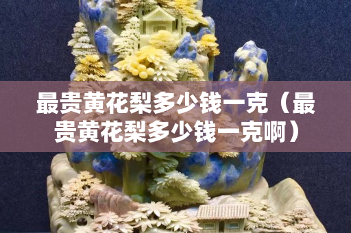 最貴黃花梨多少錢一克（最貴黃花梨多少錢一克啊）