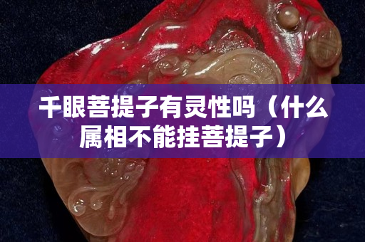 千眼菩提子有靈性嗎（什么屬相不能掛菩提子）