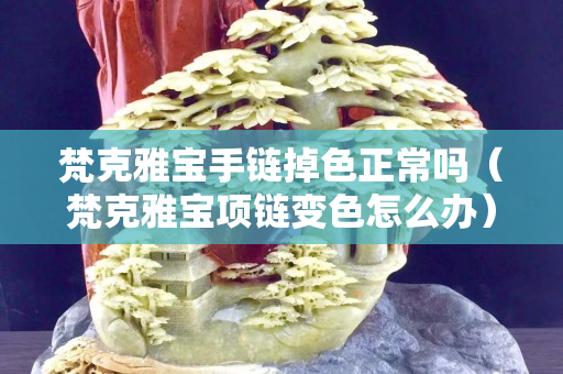 梵克雅寶手鏈掉色正常嗎（梵克雅寶項(xiàng)鏈變色怎么辦）