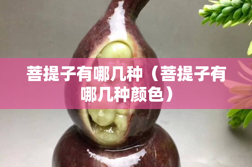 菩提子有哪幾種（菩提子有哪幾種顏色）