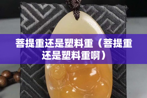 菩提重還是塑料重（菩提重還是塑料重啊）