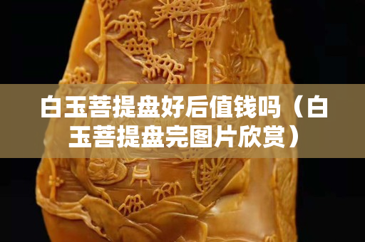 白玉菩提盤好后值錢嗎（白玉菩提盤完圖片欣賞）