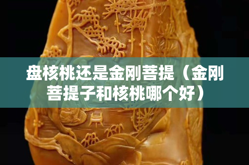 盤核桃還是金剛菩提（金剛菩提子和核桃哪個好）