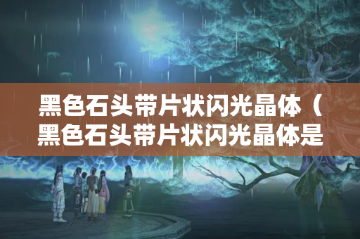 黑色石頭帶片狀閃光晶體（黑色石頭帶片狀閃光晶體是什么）