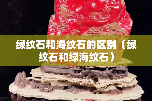 綠紋石和海紋石的區別（綠紋石和綠海紋石）