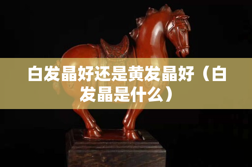 白發(fā)晶好還是黃發(fā)晶好（白發(fā)晶是什么）