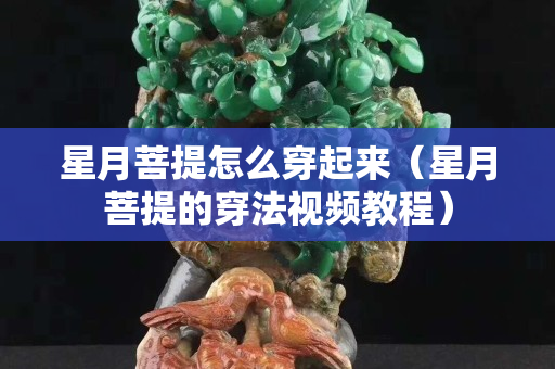 星月菩提怎么穿起來（星月菩提的穿法視頻教程）