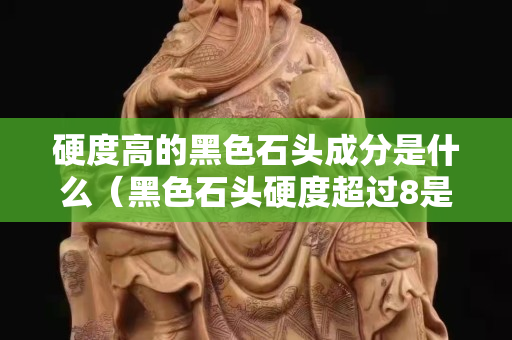硬度高的黑色石頭成分是什么（黑色石頭硬度超過8是什么石頭）