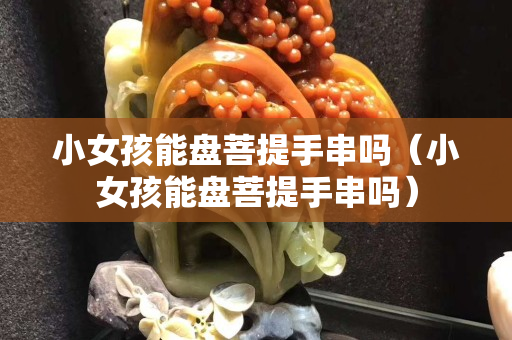 小女孩能盤菩提手串嗎（小女孩能盤菩提手串嗎）