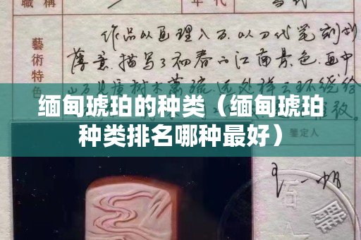 緬甸琥珀的種類（緬甸琥珀種類排名哪種最好）
