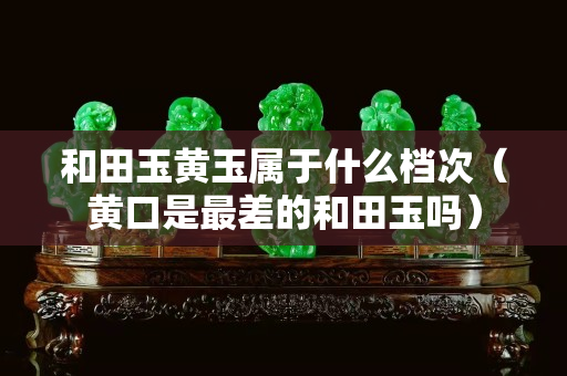 和田玉黃玉屬于什么檔次（黃口是最差的和田玉嗎）