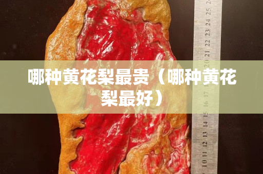 哪種黃花梨最貴（哪種黃花梨最好）