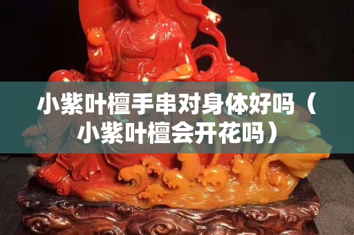 小紫葉檀手串對身體好嗎（小紫葉檀會開花嗎）