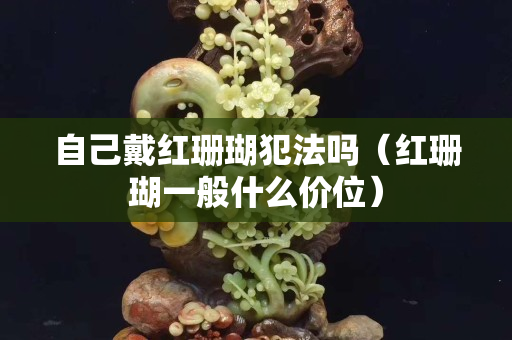 自己戴紅珊瑚犯法嗎（紅珊瑚一般什么價位）
