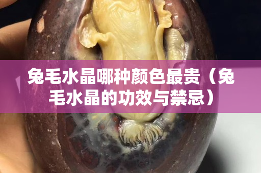 兔毛水晶哪種顏色最貴（兔毛水晶的功效與禁忌）
