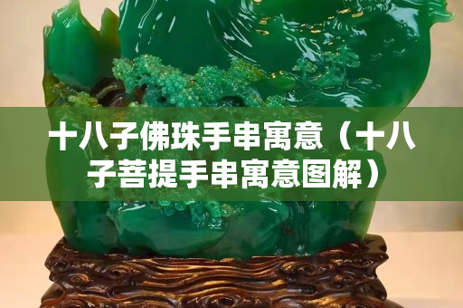 十八子佛珠手串寓意（十八子菩提手串寓意圖解）